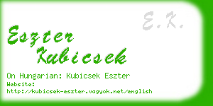 eszter kubicsek business card